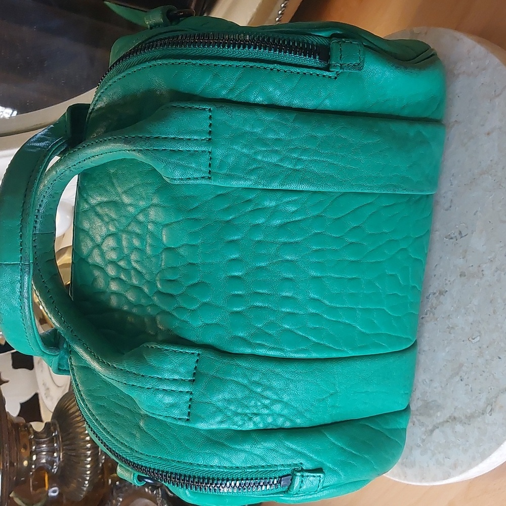 Alexander WANG ROCKIE 💚 rare Embossed Lambskin In Kelly Green Crossbody - Picture 11 of 13